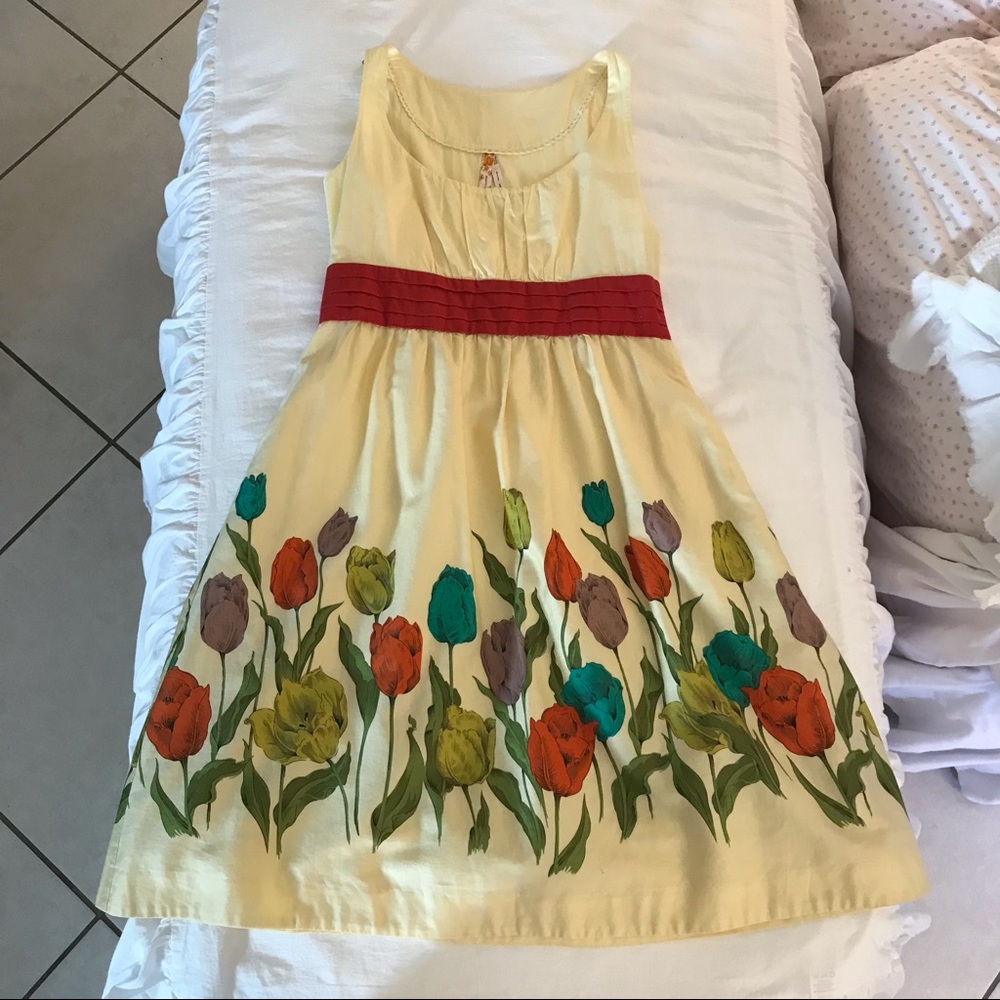 Anthropologie Mauve dress size 2 tulips